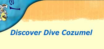 discover dive cozumel